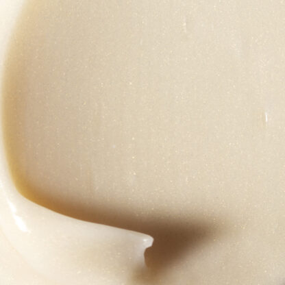 Payot Suprême Absolu Crème Jeunesse Yeux – Image 3